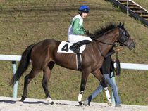 ����å��ǳ��������ɽ�����ޤ�