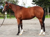 ����å��ǳ��������ɽ�����ޤ�