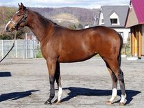 ����å��ǳ��������ɽ�����ޤ�