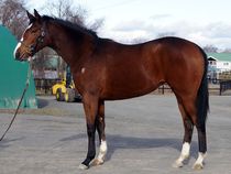 ����å��ǳ��������ɽ�����ޤ�