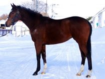 ����å��ǳ��������ɽ�����ޤ�