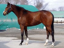 ����å��ǳ��������ɽ�����ޤ�