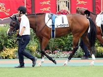 ����å��ǳ��������ɽ�����ޤ�