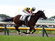 ����å��ǳ��������ɽ�����ޤ�