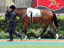 ����å��ǳ��������ɽ�����ޤ�