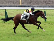 ����å��ǳ��������ɽ�����ޤ�