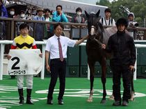 ����å��ǳ��������ɽ�����ޤ�