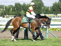 ����å��ǳ��������ɽ�����ޤ�