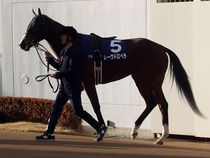 ����å��ǳ��������ɽ�����ޤ�