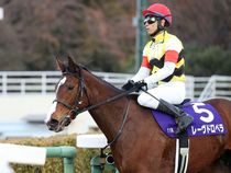 ����å��ǳ��������ɽ�����ޤ�