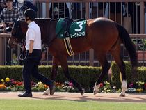 ����å��ǳ��������ɽ�����ޤ�