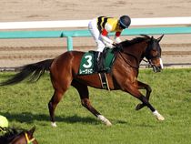 ����å��ǳ��������ɽ�����ޤ�