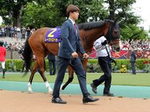 ����å��ǳ��������ɽ�����ޤ�