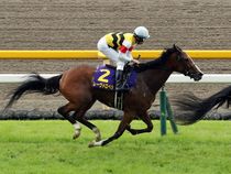 ����å��ǳ��������ɽ�����ޤ�