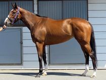 ����å��ǳ��������ɽ�����ޤ�