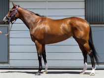 ����å��ǳ��������ɽ�����ޤ�