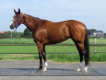 ����å��ǳ��������ɽ�����ޤ�