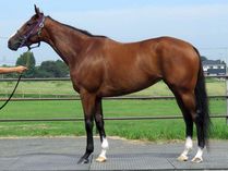 ����å��ǳ��������ɽ�����ޤ�