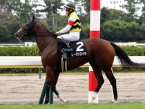 ����å��ǳ��������ɽ�����ޤ�