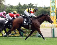 ����å��ǳ��������ɽ�����ޤ�