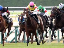 ����å��ǳ��������ɽ�����ޤ�