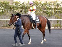 ����å��ǳ��������ɽ�����ޤ�