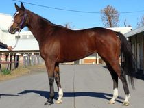 ����å��ǳ��������ɽ�����ޤ�