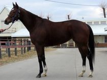 ����å��ǳ��������ɽ�����ޤ�