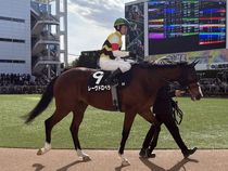 ����å��ǳ��������ɽ�����ޤ�