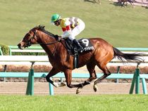 ����å��ǳ��������ɽ�����ޤ�