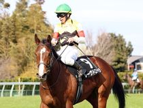 ����å��ǳ��������ɽ�����ޤ�