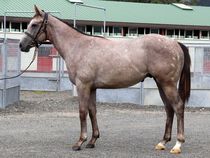 ����å��ǳ��������ɽ�����ޤ�