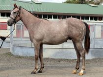 ����å��ǳ��������ɽ�����ޤ�