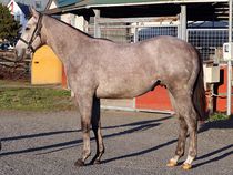 ����å��ǳ��������ɽ�����ޤ�