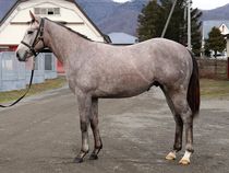 ����å��ǳ��������ɽ�����ޤ�