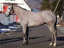 ����å��ǳ��������ɽ�����ޤ�