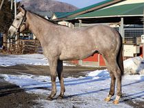 ����å��ǳ��������ɽ�����ޤ�