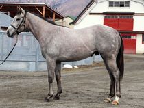 ����å��ǳ��������ɽ�����ޤ�