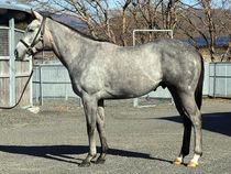 ����å��ǳ��������ɽ�����ޤ�