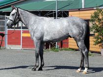 ����å��ǳ��������ɽ�����ޤ�