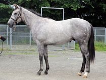 ����å��ǳ��������ɽ�����ޤ�