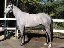 ����å��ǳ��������ɽ�����ޤ�