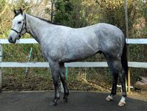 ����å��ǳ��������ɽ�����ޤ�