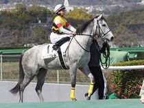 ����å��ǳ��������ɽ�����ޤ�