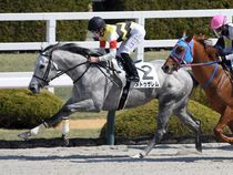 ����å��ǳ��������ɽ�����ޤ�