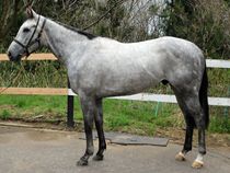 ����å��ǳ��������ɽ�����ޤ�