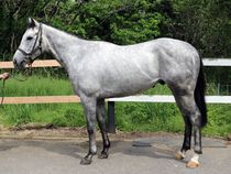 ����å��ǳ��������ɽ�����ޤ�