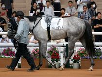 ����å��ǳ��������ɽ�����ޤ�