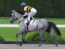 ����å��ǳ��������ɽ�����ޤ�