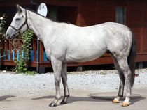 ����å��ǳ��������ɽ�����ޤ�